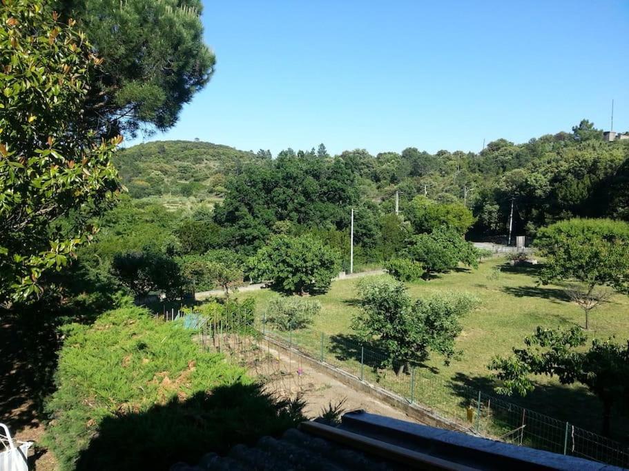 Appartement Au Fond Du Jardin Saint Jean du Pin Εξωτερικό φωτογραφία